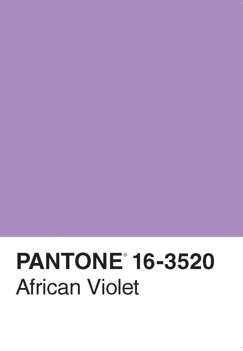 Pantone 50 Postcards postkortbok fargekart gave