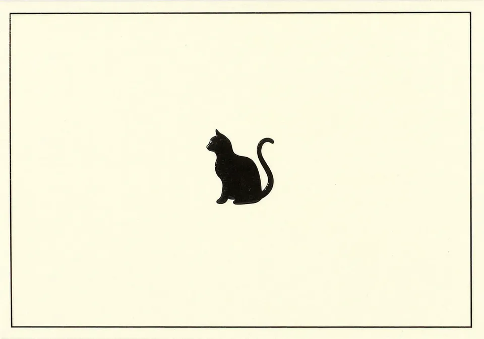 Peter Pauper Press Black Cat notatkort 14 stk preget