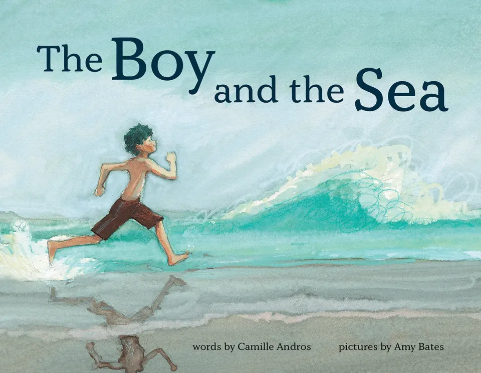 Abrams The Boy and the Sea bildebok innbundet havfortelling