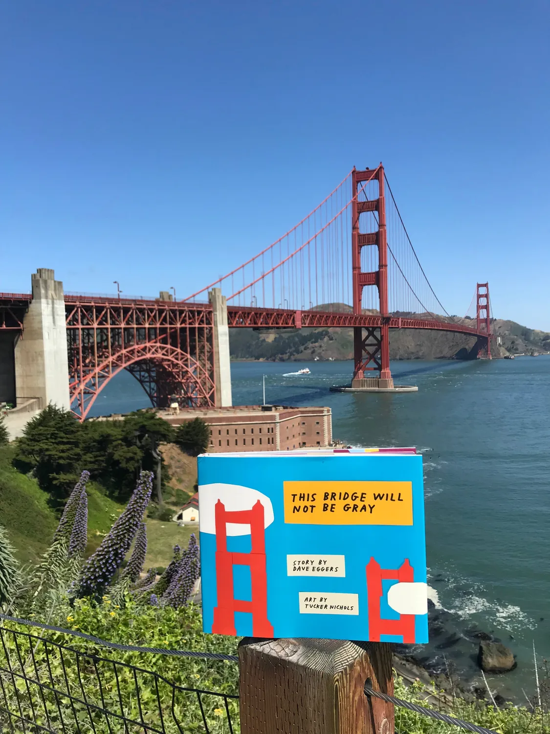 Dave Eggers This Bridge Will Not Be Gray barnebok innbundet