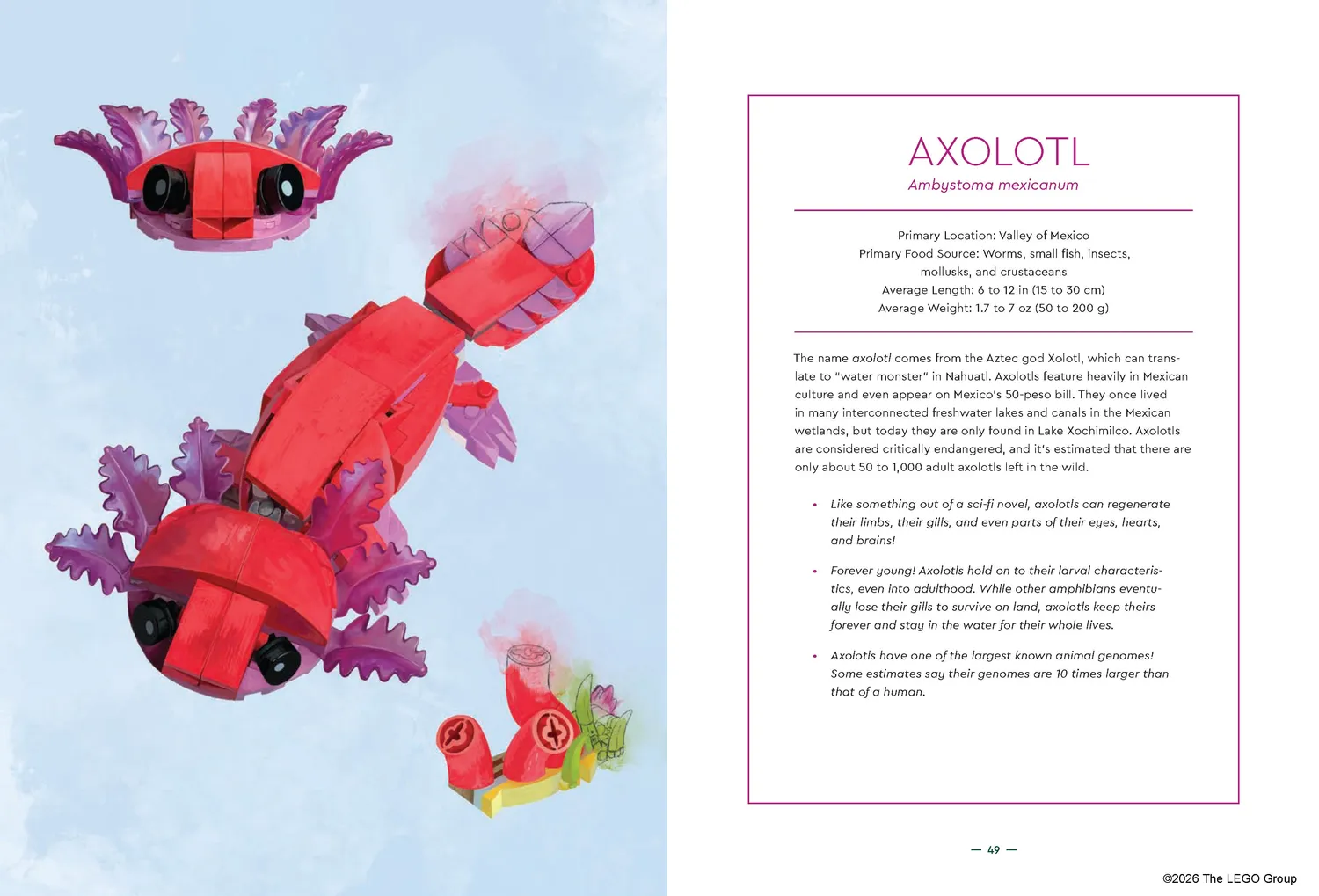 LEGO Animal Field Guide bok innbundet dyr
