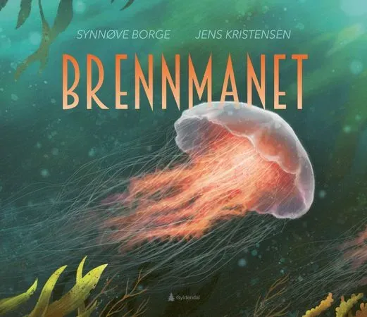 Bokia Brennmanet innbundet bok pent brukt norsk