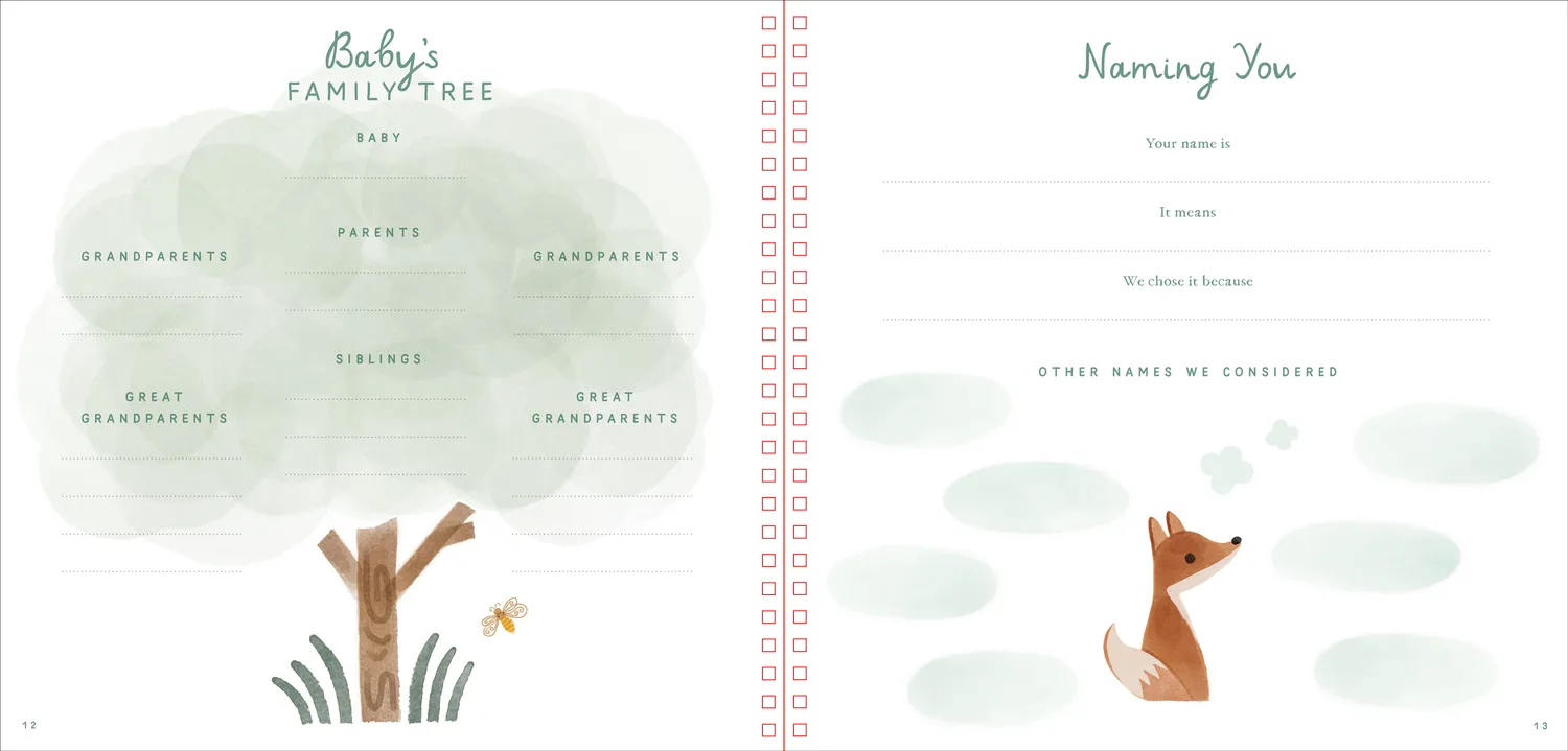 Peter Pauper Press Baby's First Years minnebok eske