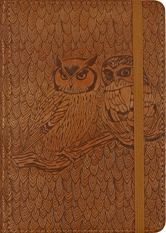 Peter Pauper Press Owls Artisan Journal notatbok 176 sider
