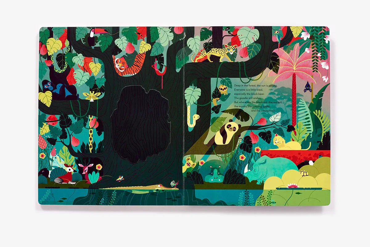 Deep in the Forest peke- og myldrebok board book
