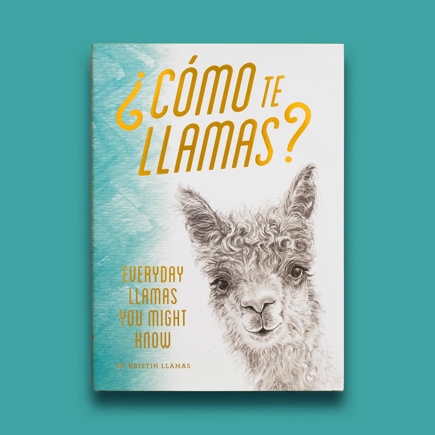 Kristin Llamas Como te Llamas lamabok innbundet humor