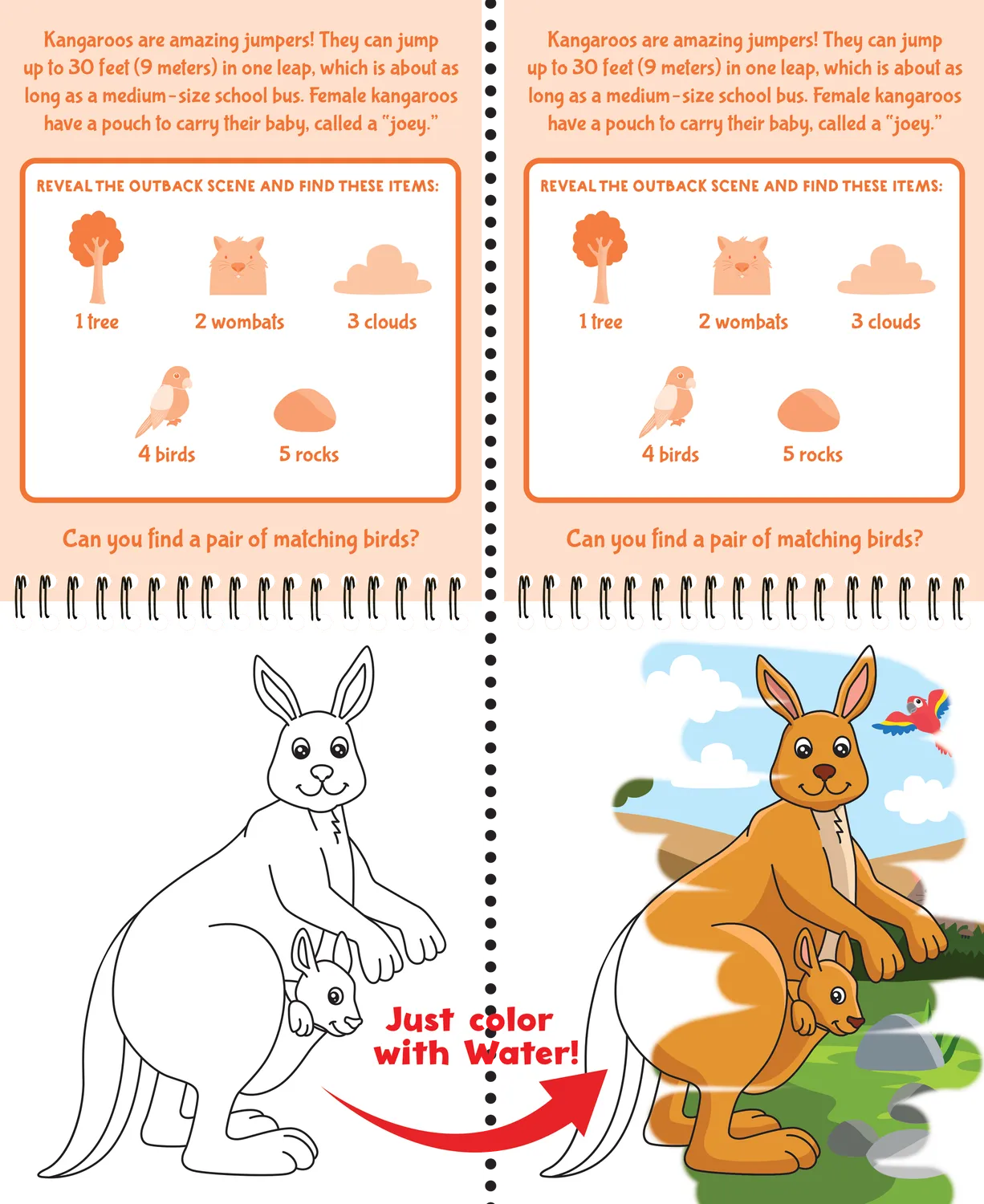 Color With Water Wild Animals malebok med vannpenn 4 tavler