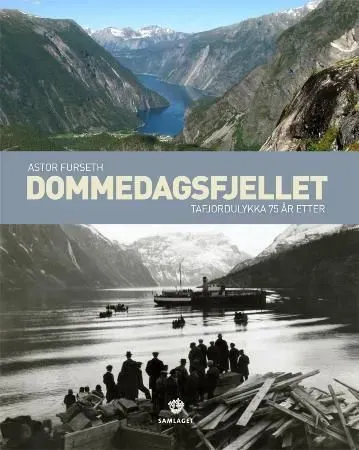 Bokia Dommedagsfjellet innbundet bok som ny