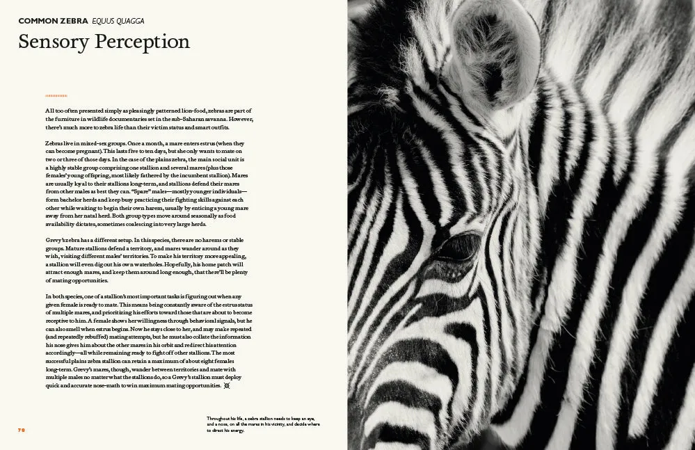 Abrams The Animal Mind innbundet sakprosabok dyreintelligens