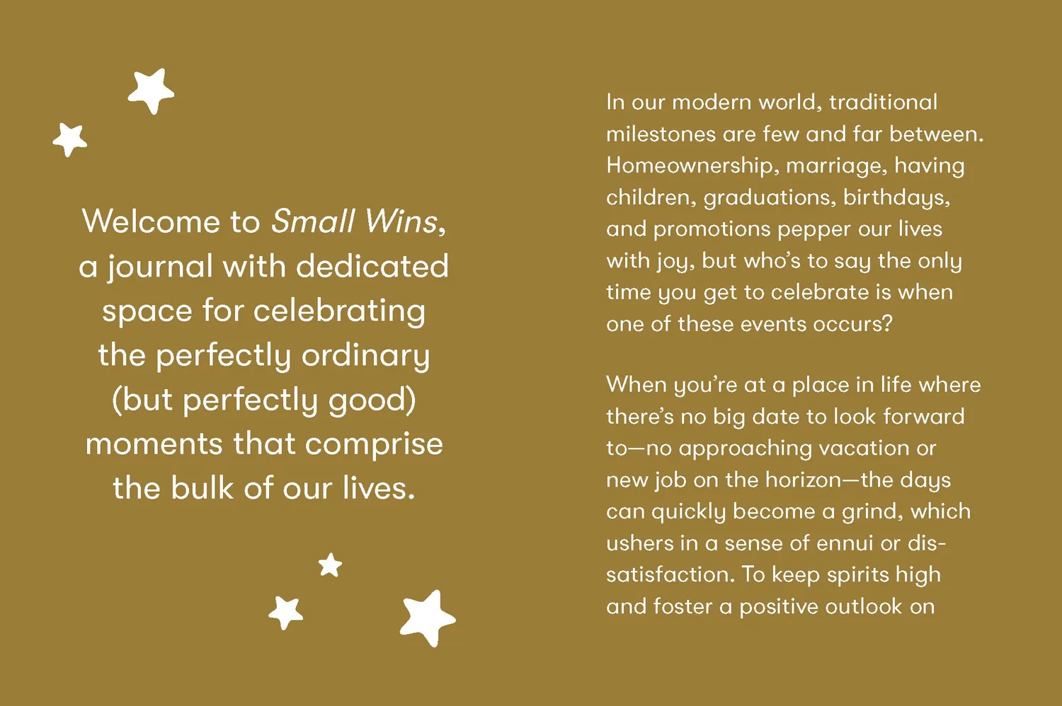 Abrams and Chronicle Small Wins journal dagbok miniseire
