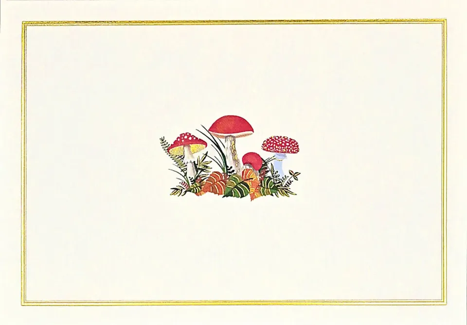 Peter Pauper Press Mushrooms notatkort 14 stk sopp gull