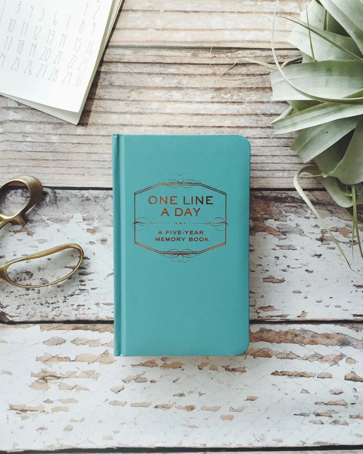 Chronicle Books One Line A Day Five-Year Memory Book dagbok 5 år