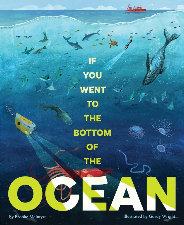 Chronicle Books Bottom of the Ocean innbundet barnebok