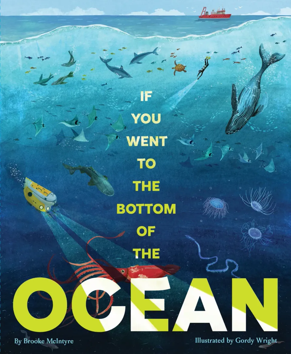 Abrams and Chronicle Bottom of the Ocean barnebok innbundet