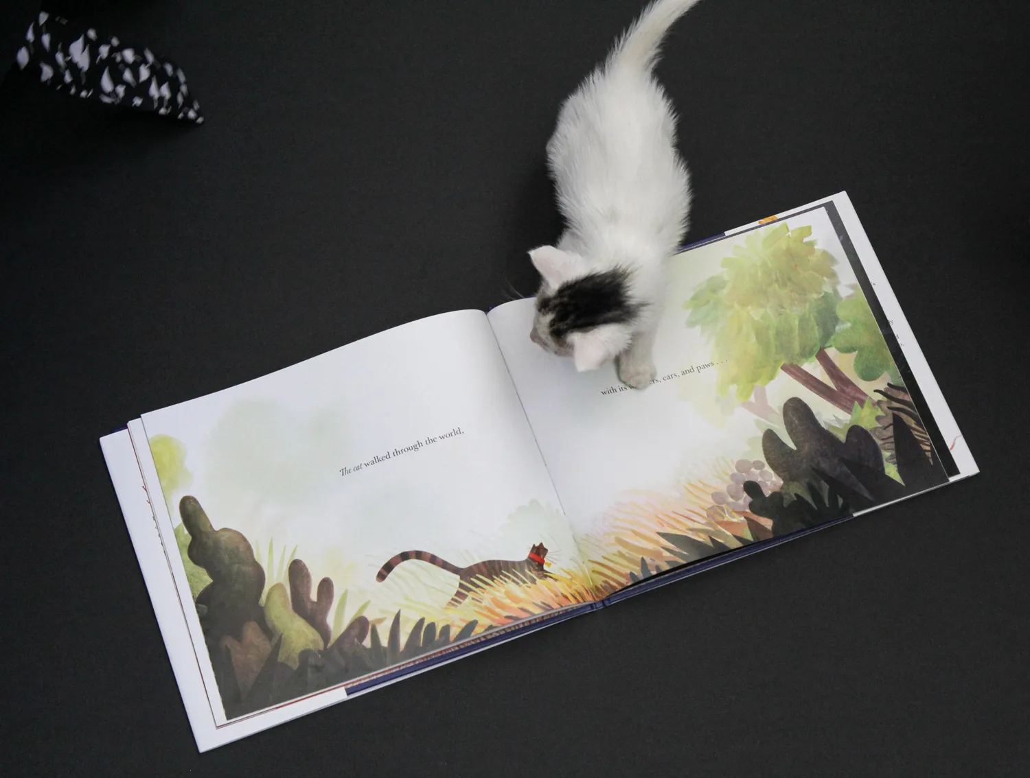 Brendan Wenzel They All Saw a Cat bildebok pocket