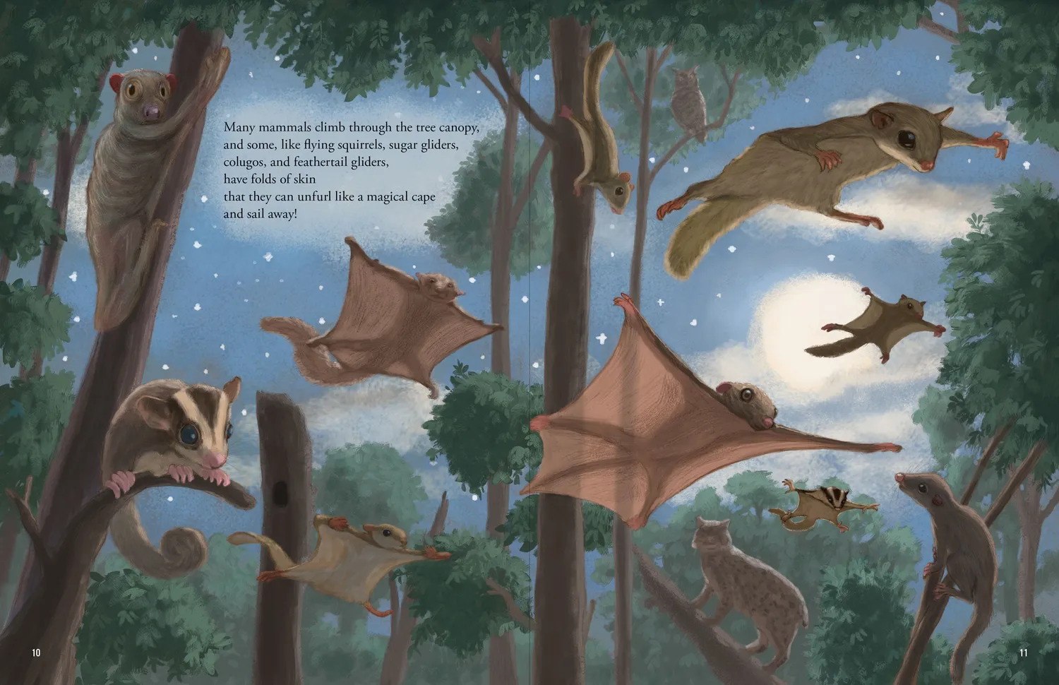 Peter Pauper Press All the Mammals in the World bildebok innbundet