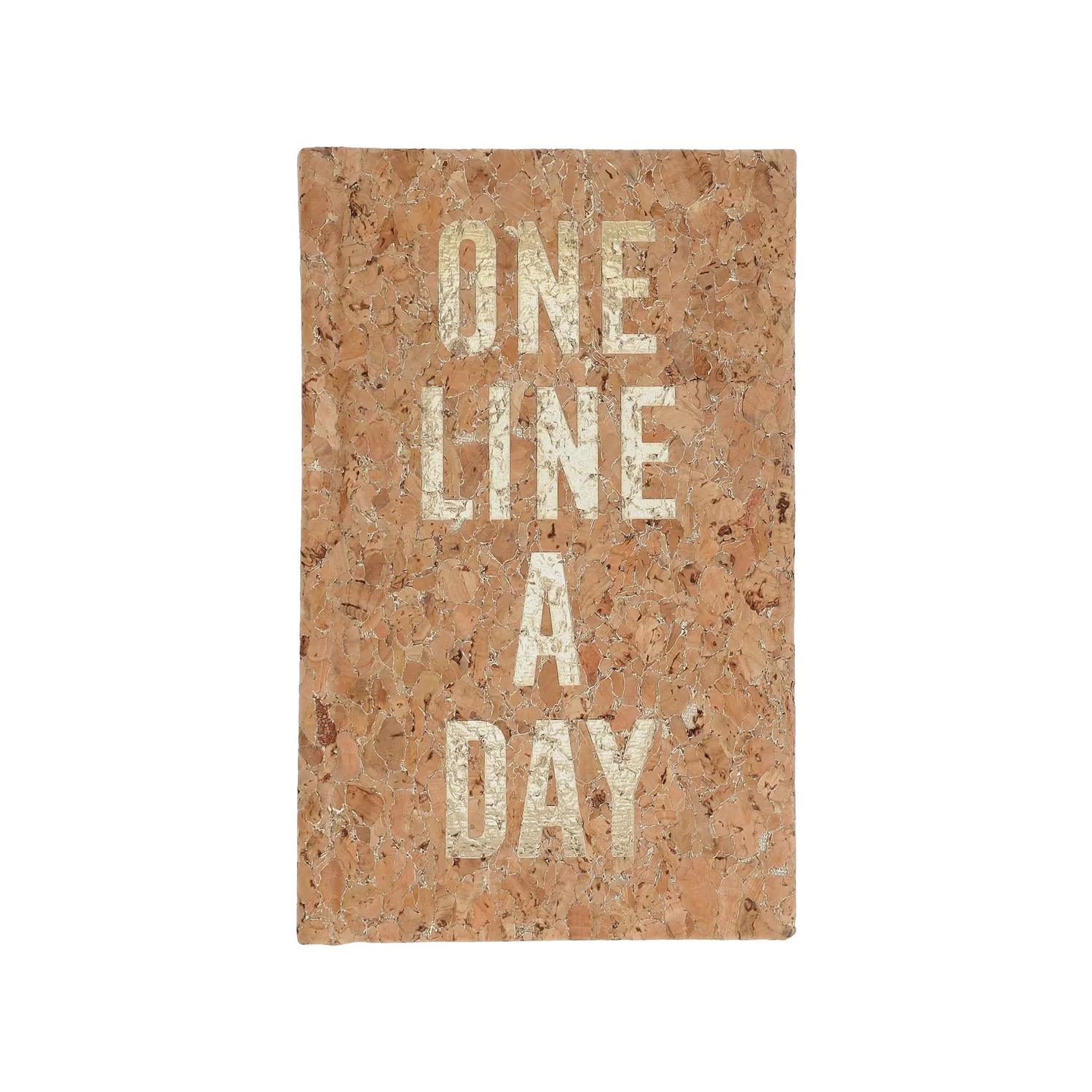 Chronicle Books Cork One Line a Day dagbok femårs kork