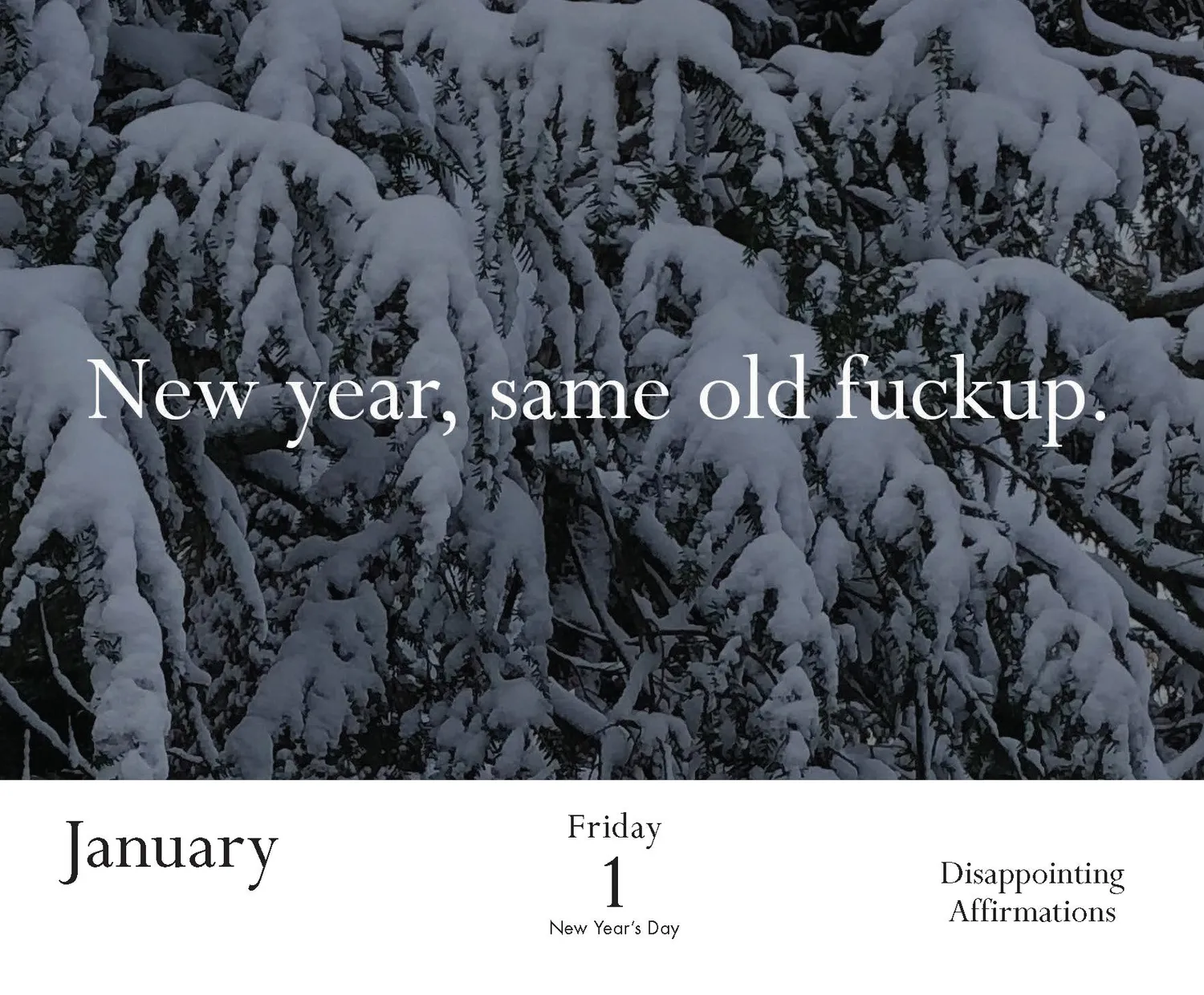 Disappointing Affirmations 2027 Daily Calendar dagskalender