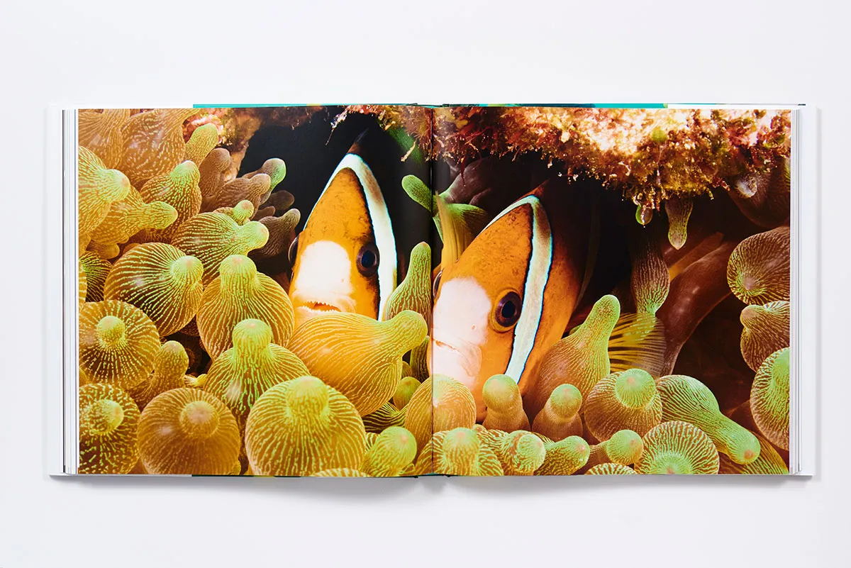 The Life & Love of the Sea innbundet fotobok havet