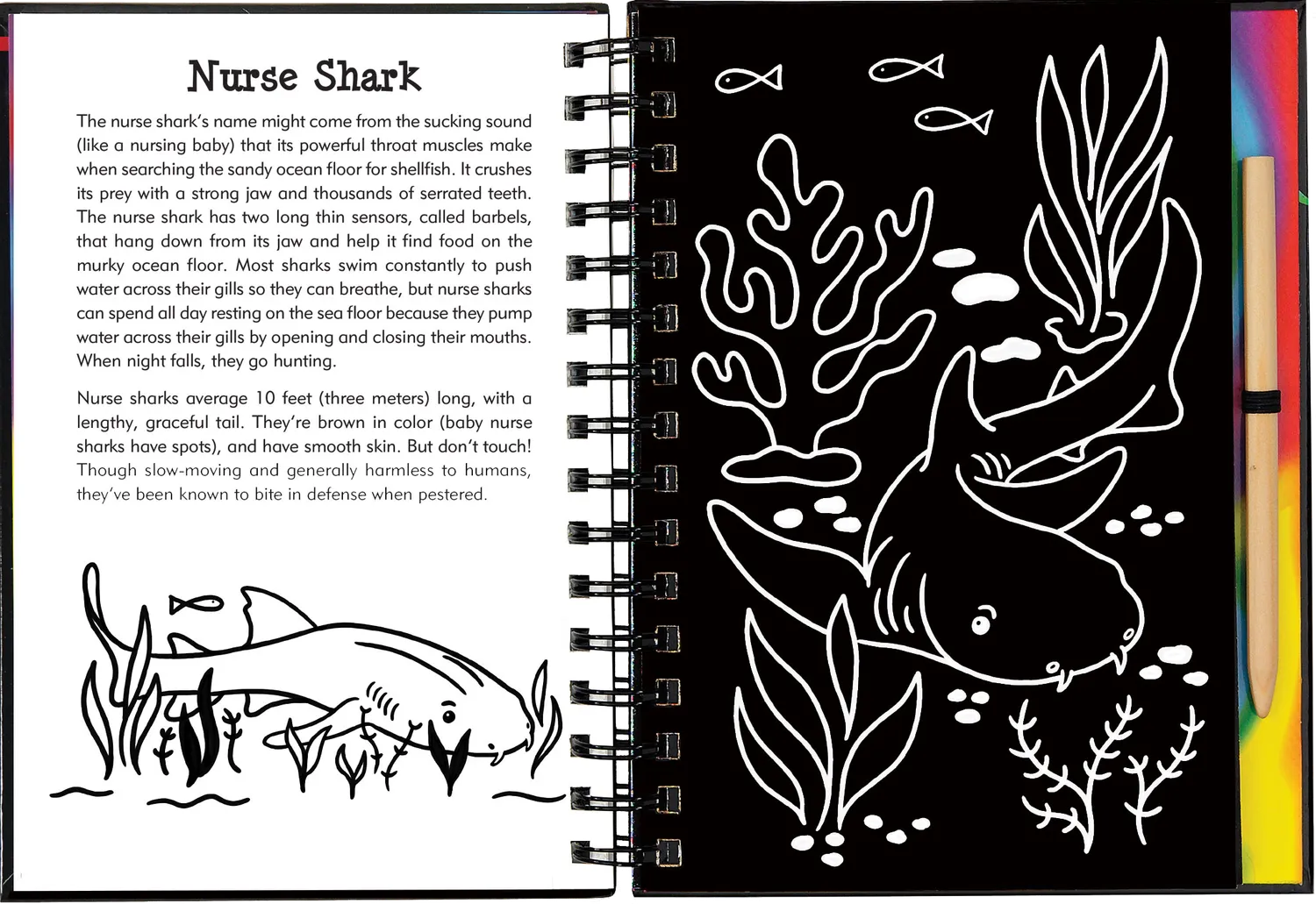 Peter Pauper Press Sharks Scratch and Sketch skrapebok