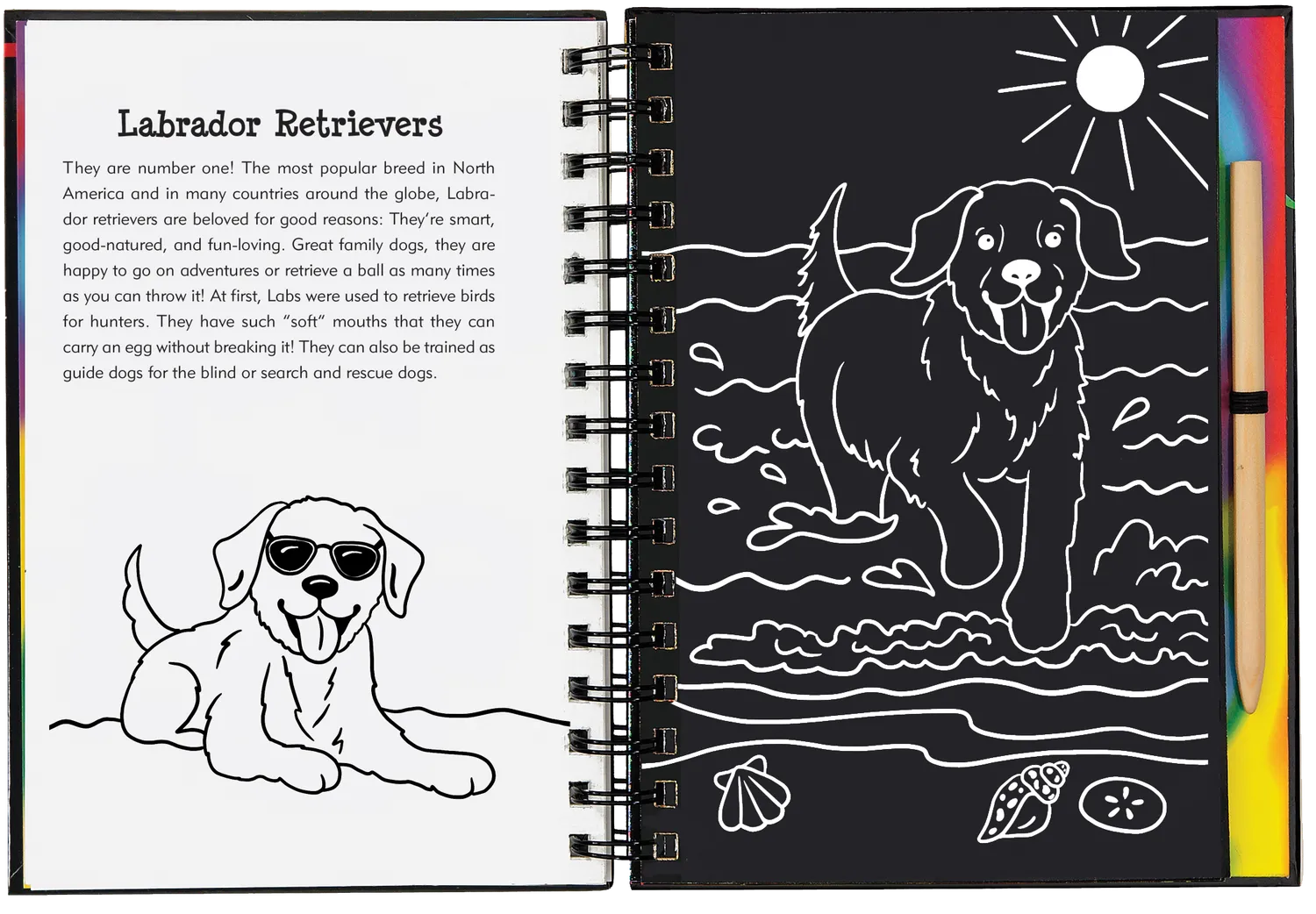 Peter Pauper Press Puppies Scratch and Sketch skrapebok