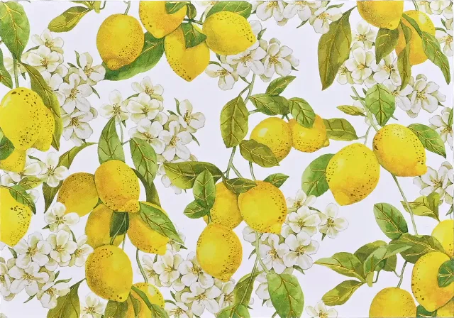 Peter Pauper Press Amalfi Lemons notatkort 14-pakning sitron