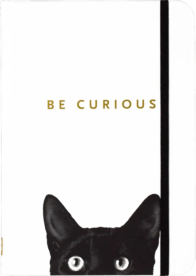 Peter Pauper Press Curious Cat Journal notatbok linjert