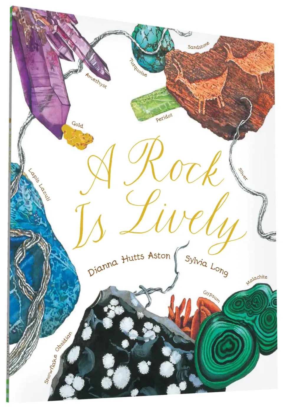 Abrams and Chronicle A Rock Is Lively barnebok paperback stein