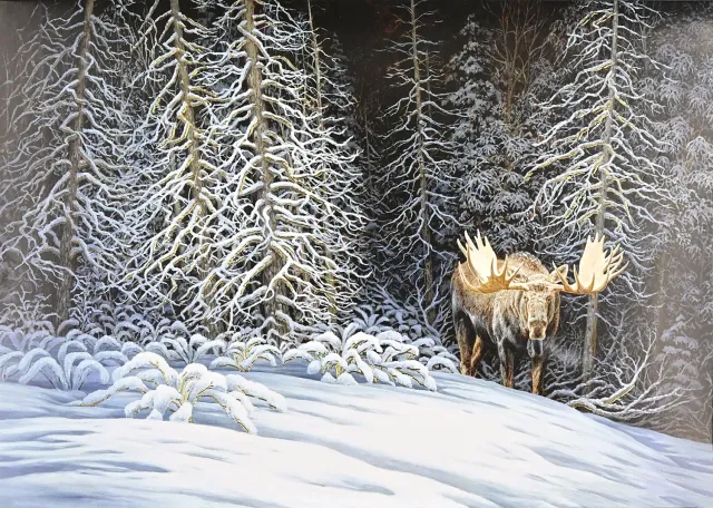 Peter Pauper Press Moose in Moonlight julekort 20 stk elg