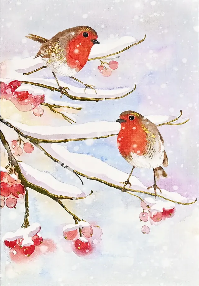 Peter Pauper Press English Robins in Snow julekort 20-pk liten