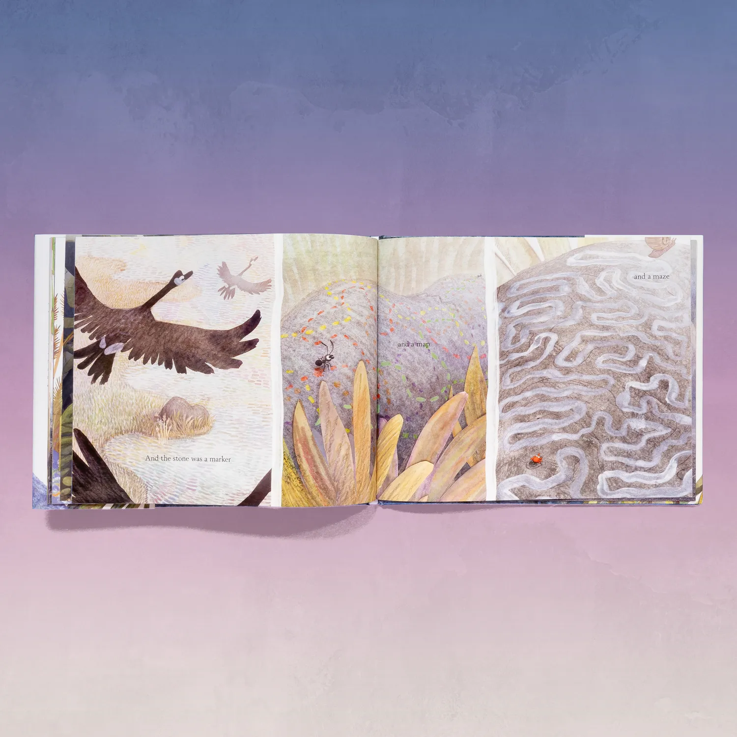 Chronicle Books A Stone Sat Still bildebok innbundet om natur