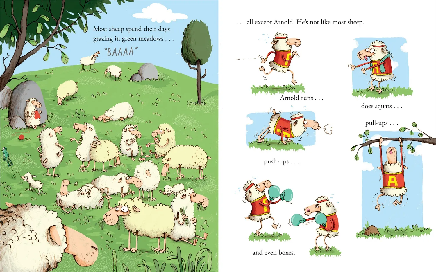 Peter Pauper Press Arnold the Brave bildebok innbundet 3-8 år