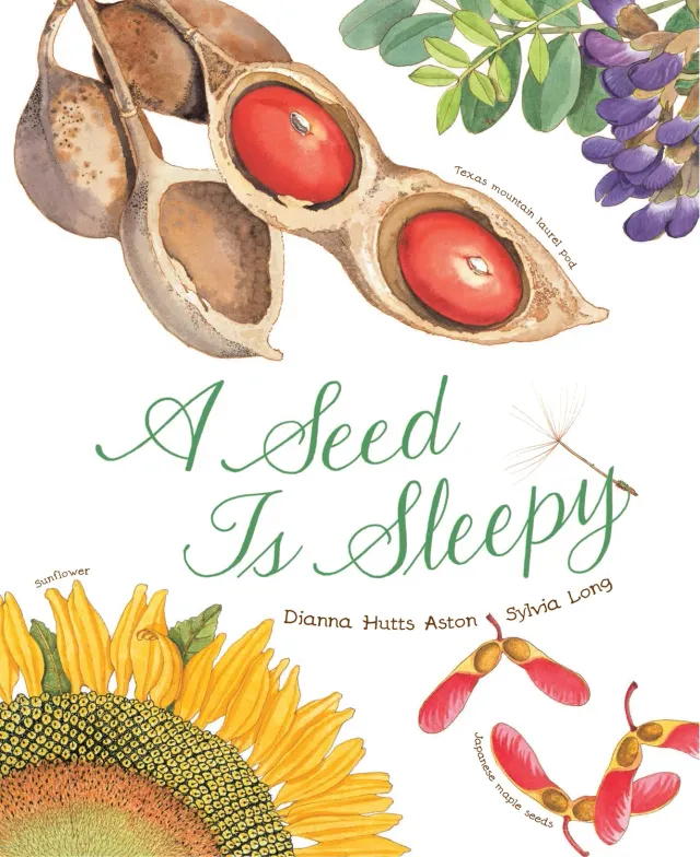 Dianna Hutts Aston A Seed Is Sleepy barnebok frø heftet