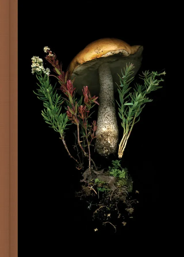 Deep Dark Forest Mushroom Journal notatbok innbundet sopp
