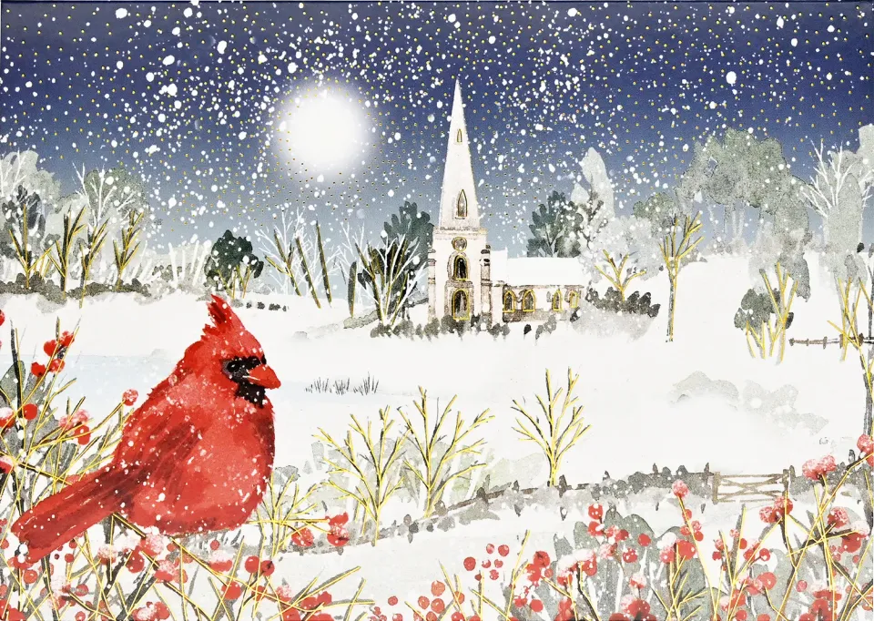 Peter Pauper Press Cardinal in Moonlight julekort 20 stk eske