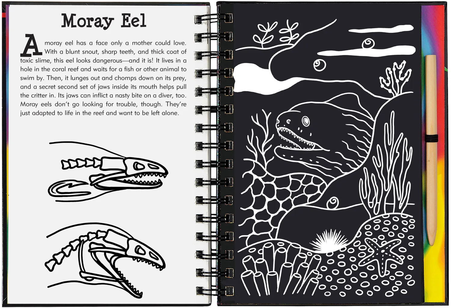 Peter Pauper Press Scratch and Sketch Coral Reefs skrapebok barn 5+
