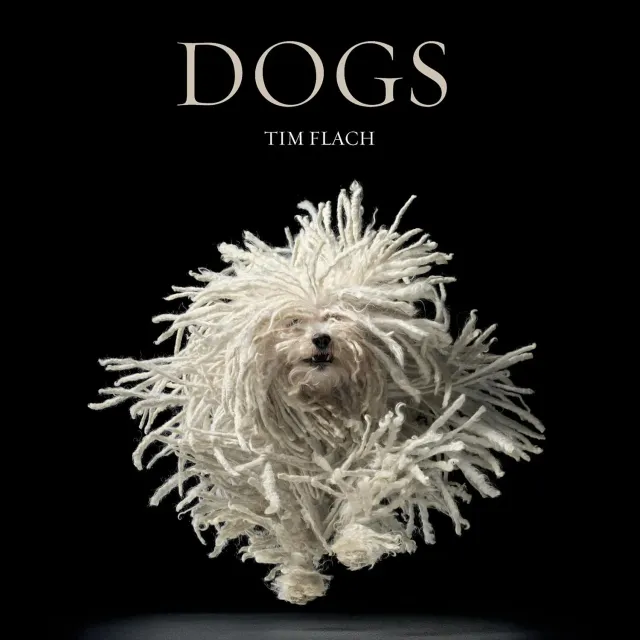 Tim Flach Dogs fotobok innbundet hunder
