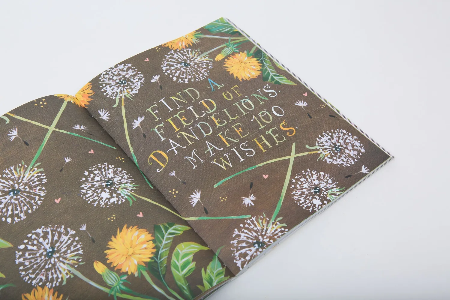 Chronicle Books Wildflower's Workbook journal natur