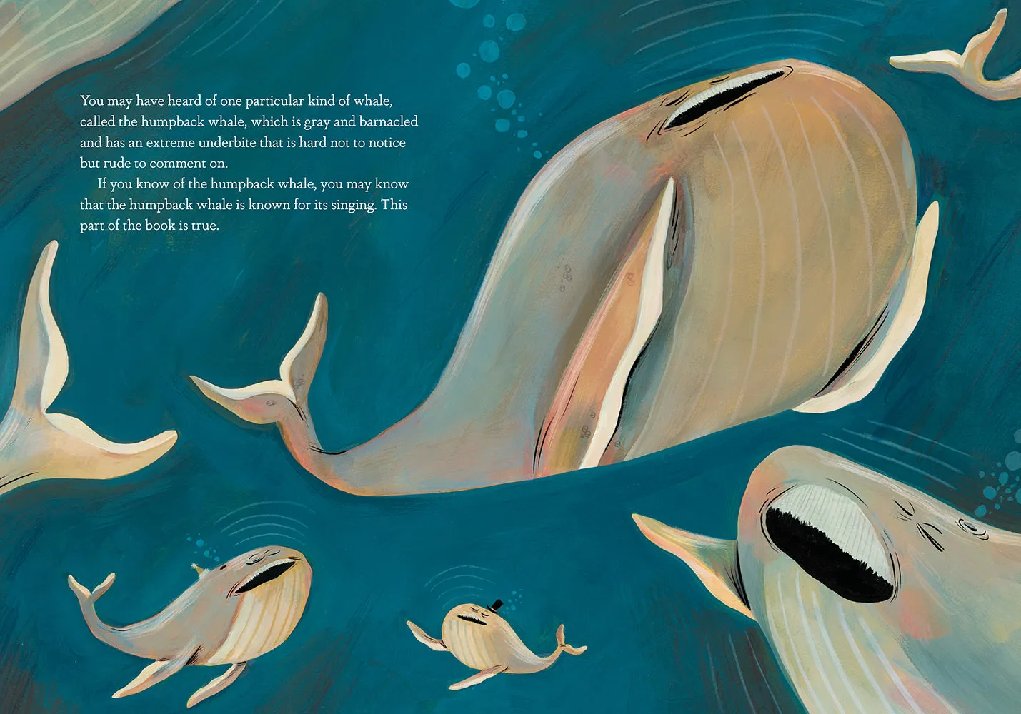 Dave Eggers Soren's Seventh Song bildebok innbundet hval