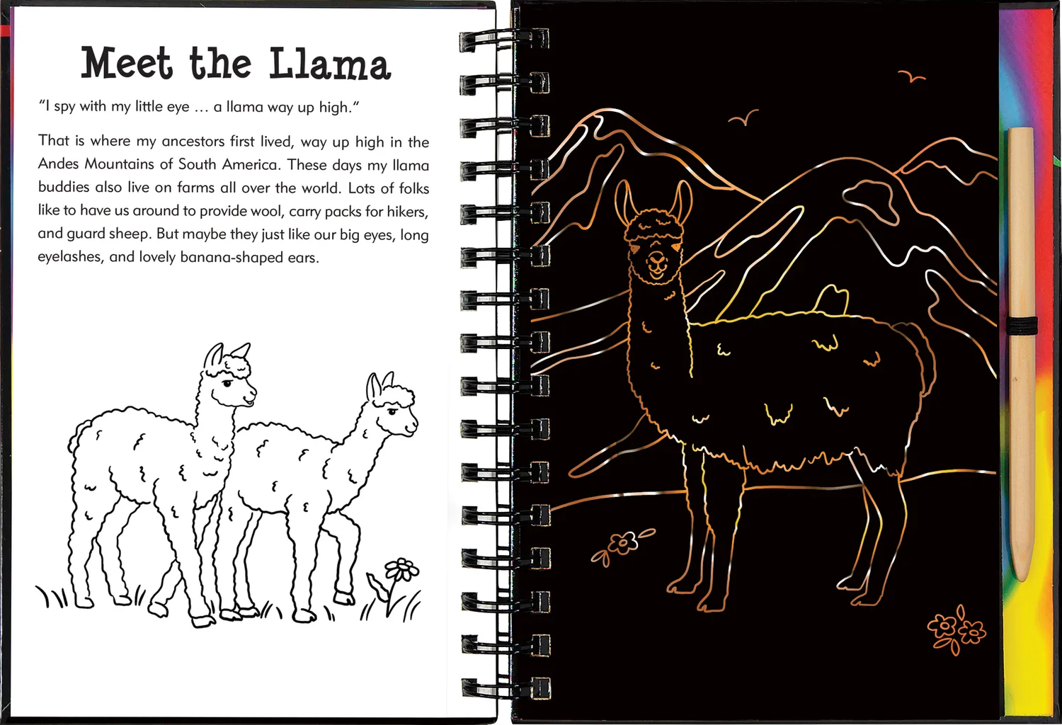 Peter Pauper Press Llamas and Friends skrapebok barn