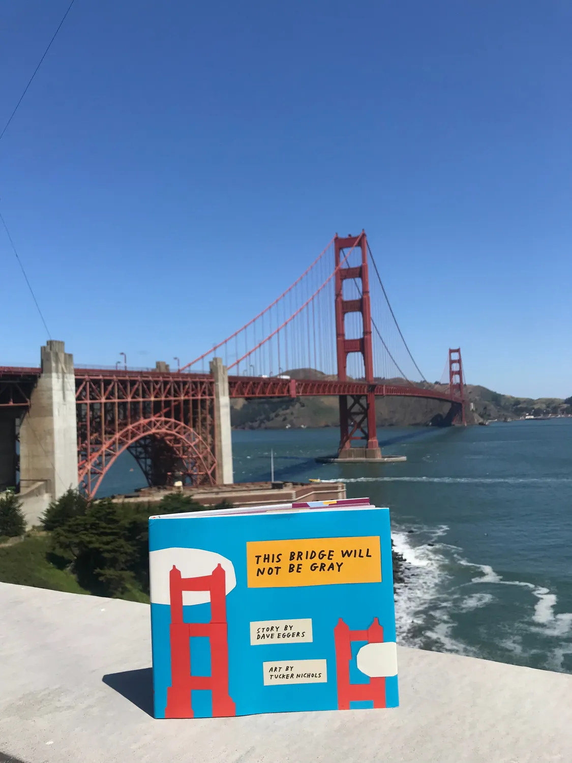 Dave Eggers This Bridge Will Not Be Gray barnebok innbundet