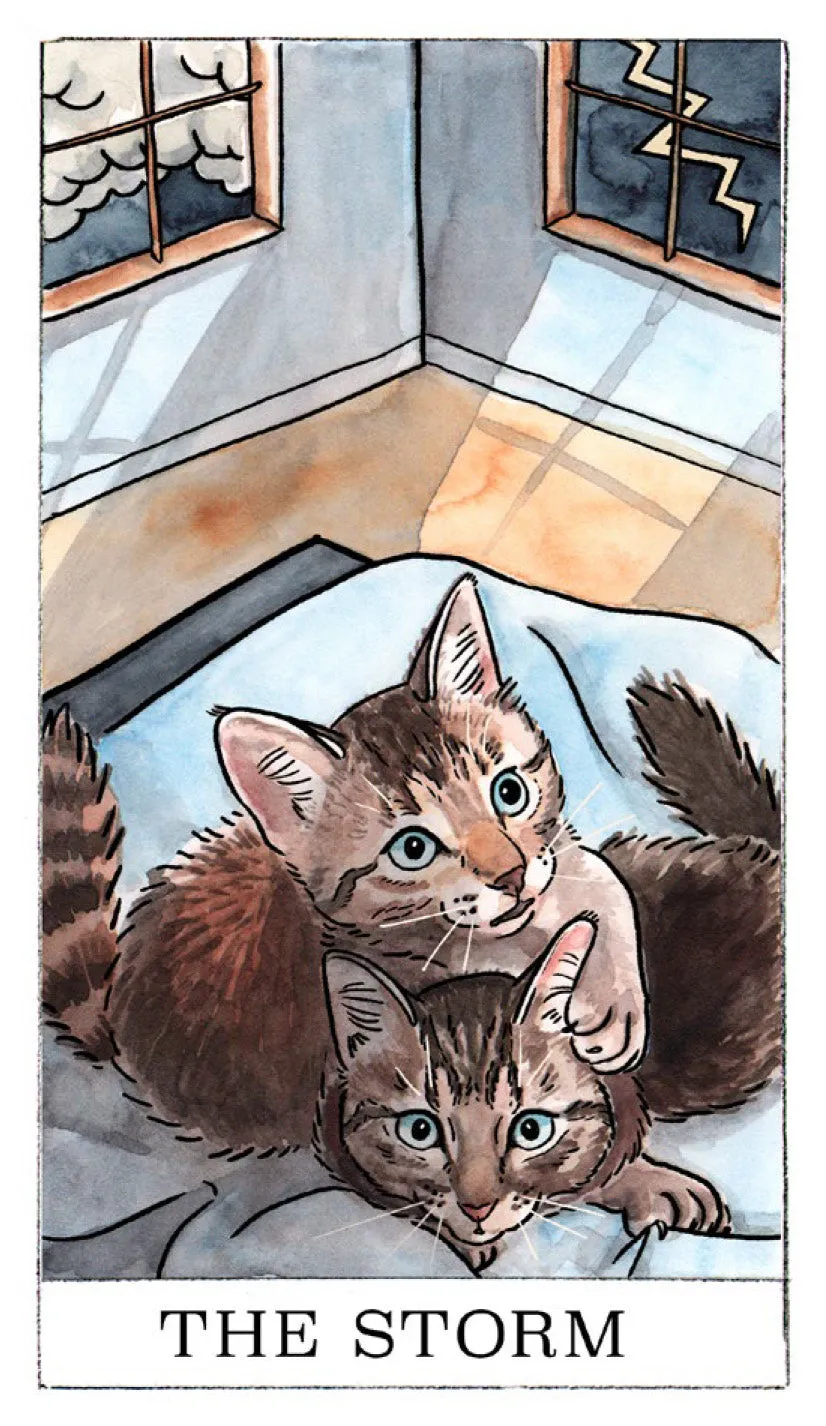 Kitten Oracle orakelkort 50 kort med guidebok katt