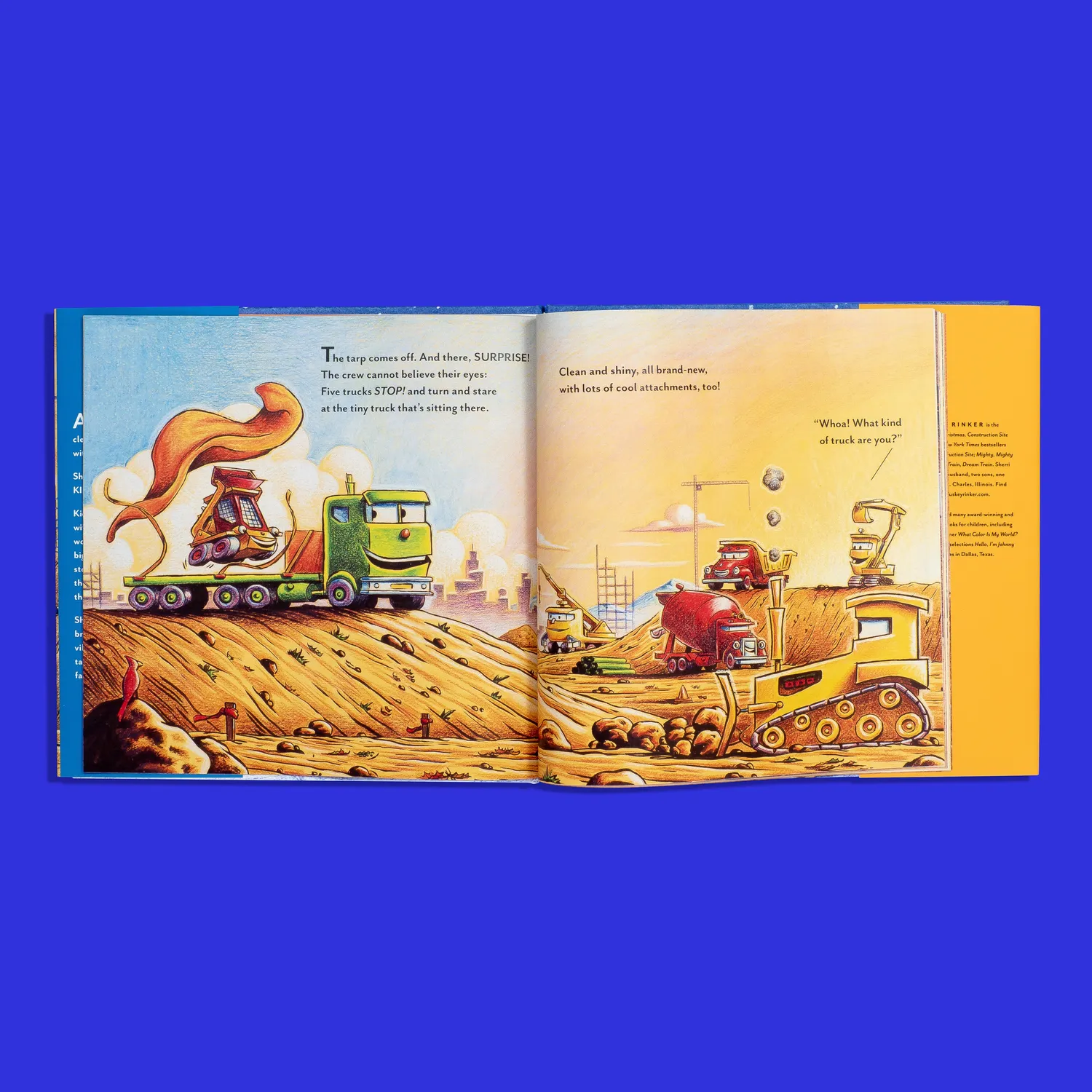 Chronicle Books Three Cheers for Kid McGear! barnebok innbundet