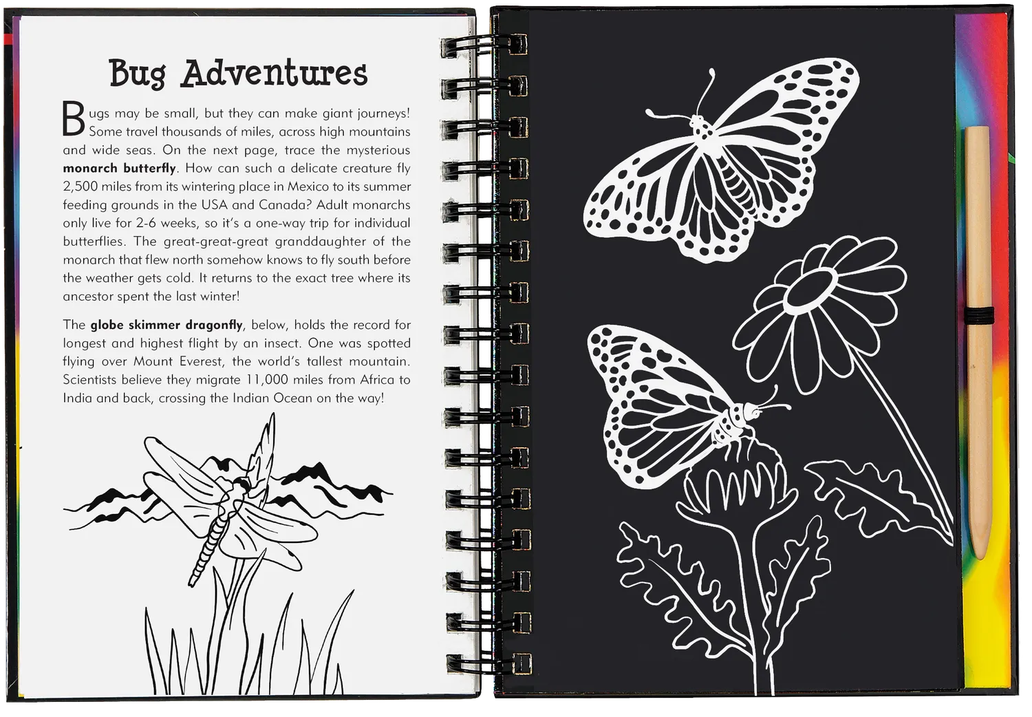 Scratch and Sketch Bugs! skrapebok insekter 64 sider