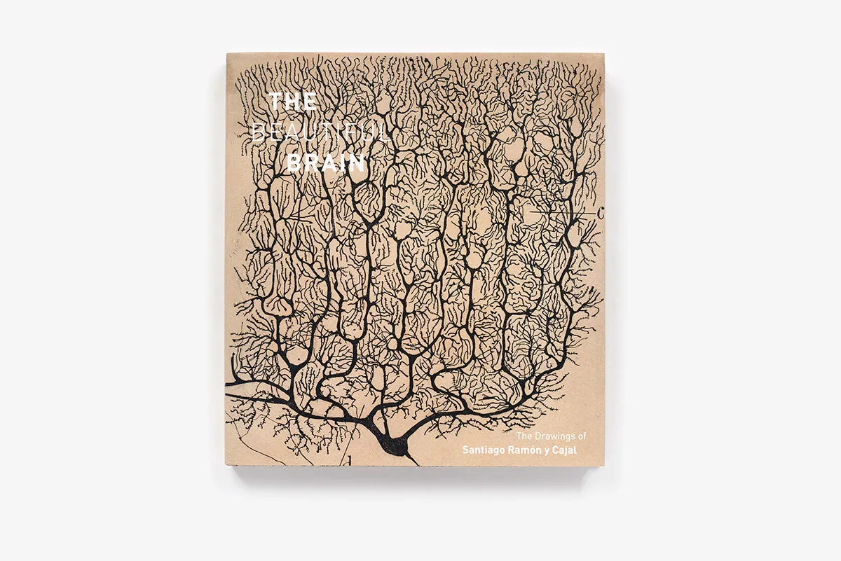 Abrams The Beautiful Brain kunstbok innbundet hjerne