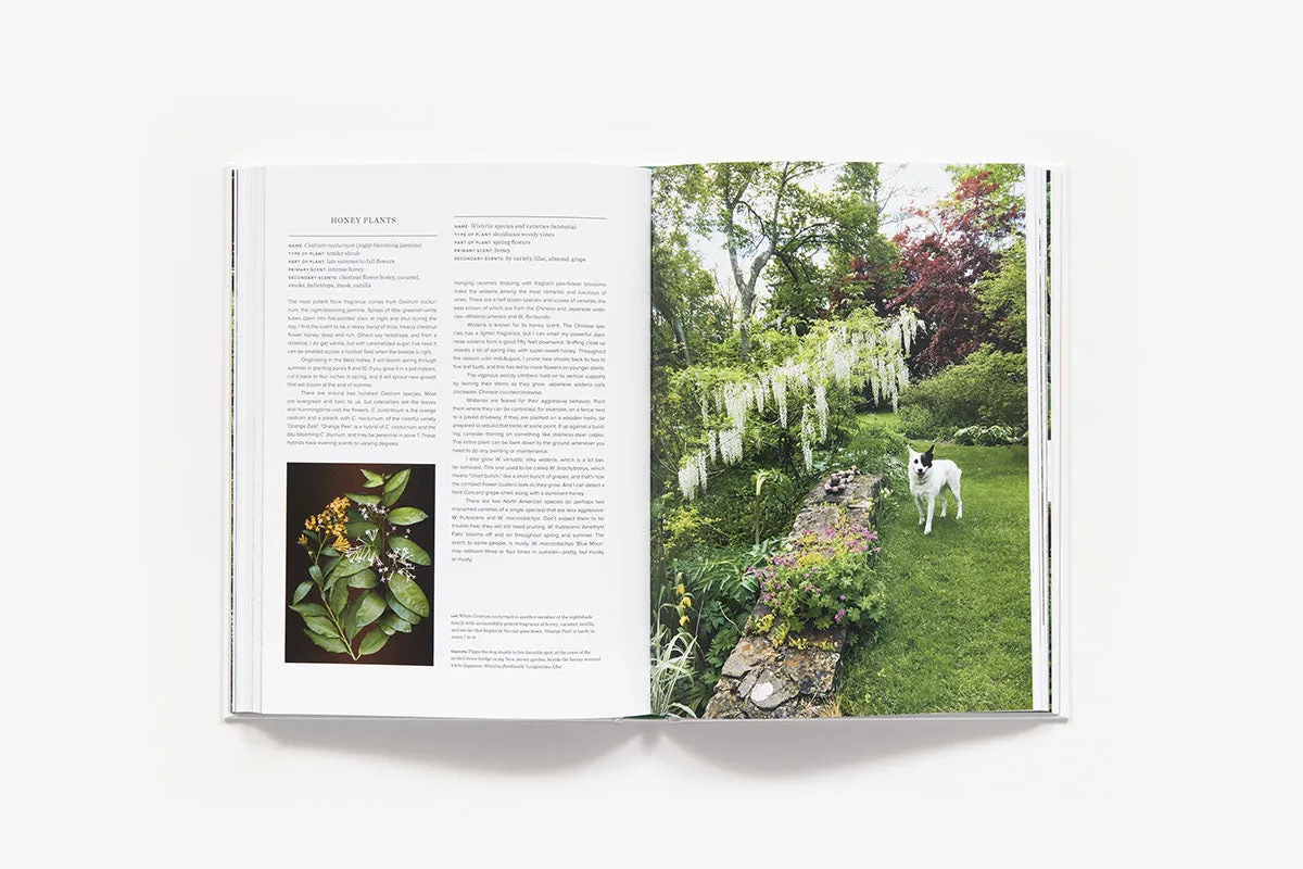 Abrams The Scentual Garden hagebok innbundet