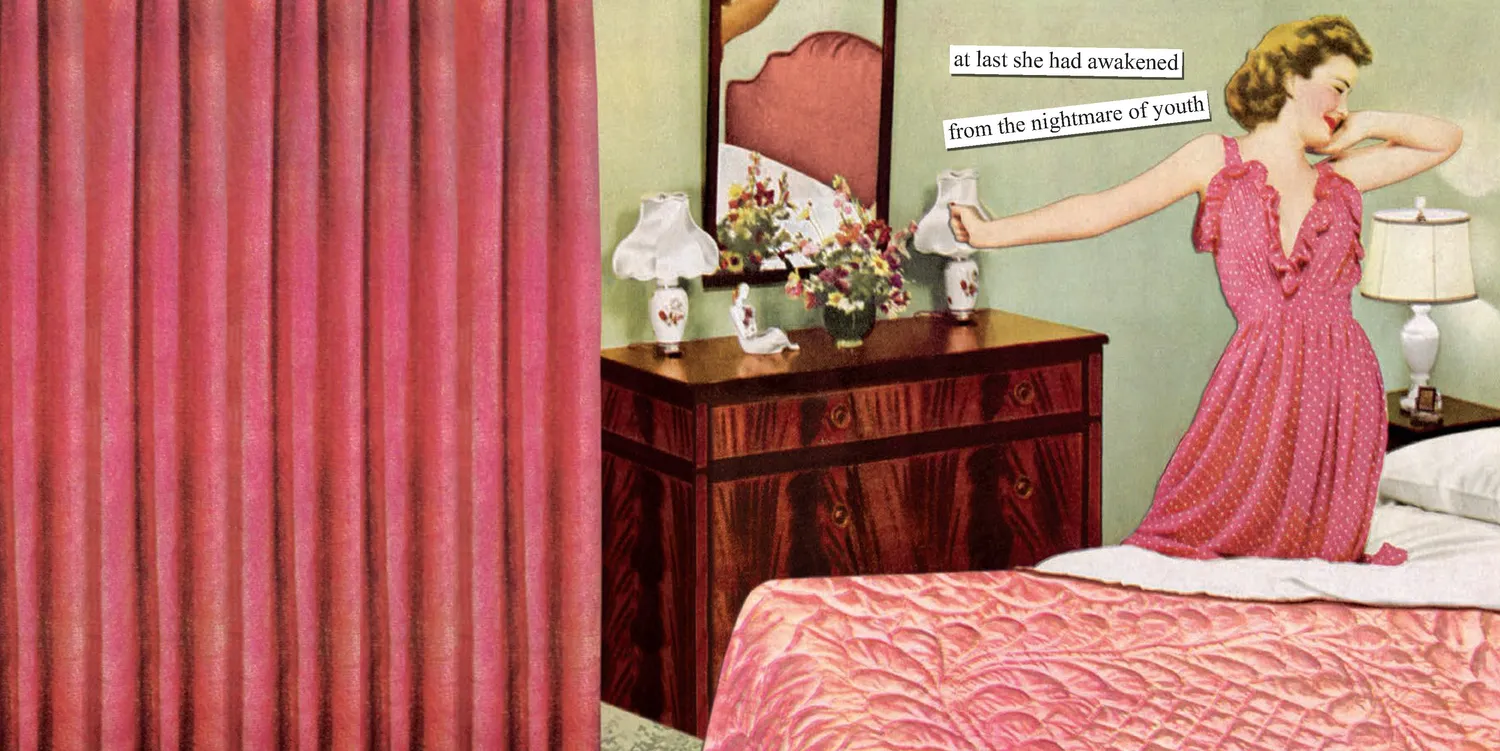 Chronicle Books Has Anyone Seen My Hormones innbundet