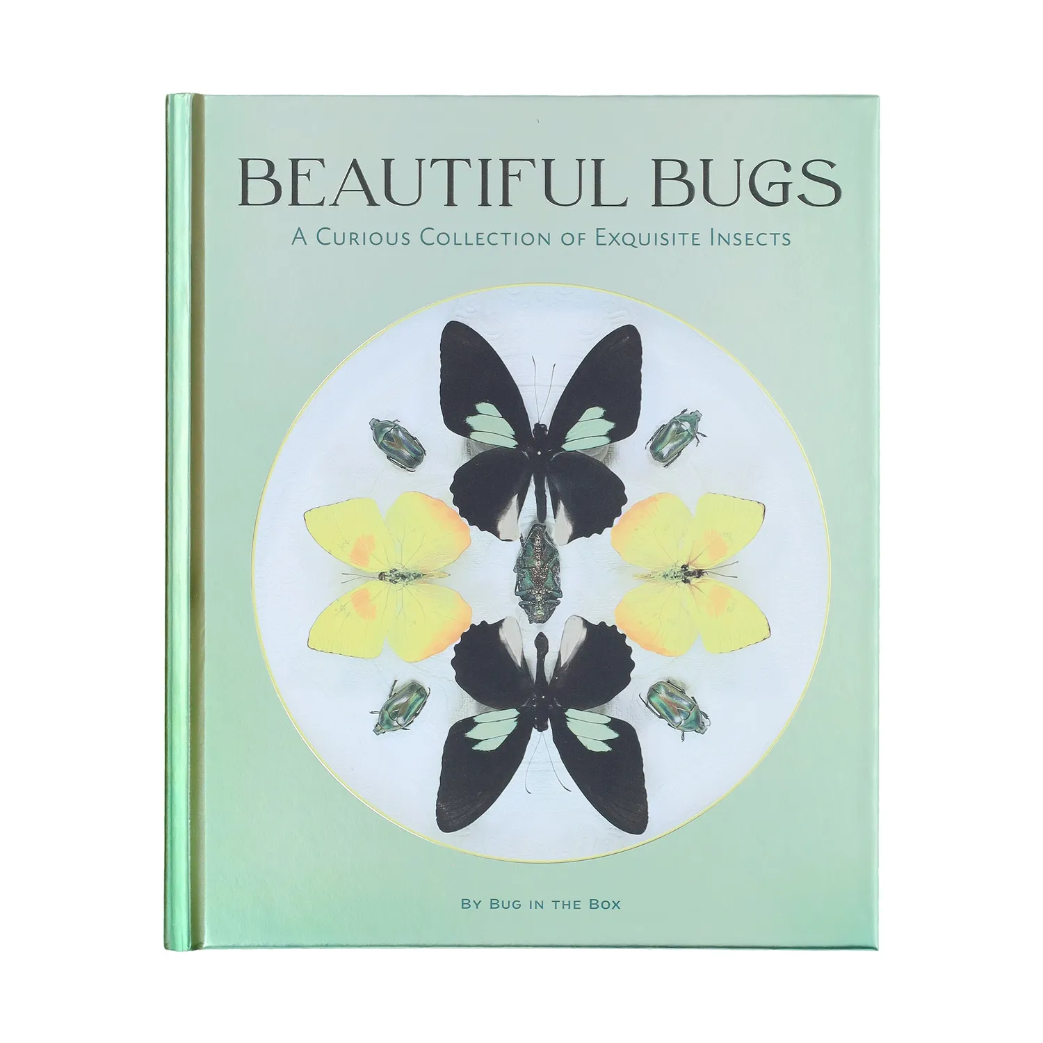 Abrams and Chronicle Beautiful Bugs innbundet faktabok insekter