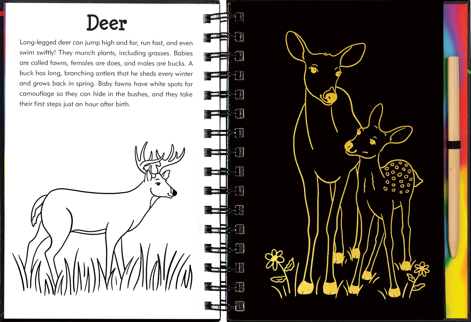 Peter Pauper Press Scratch and Sketch Forest Friends skrapebok skogdyr