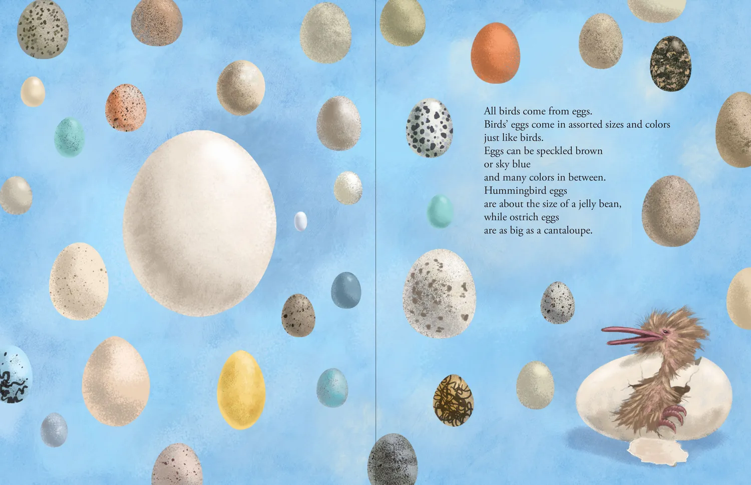 Peter Pauper Press All the Birds in the World bildebok innbundet 3-8 år